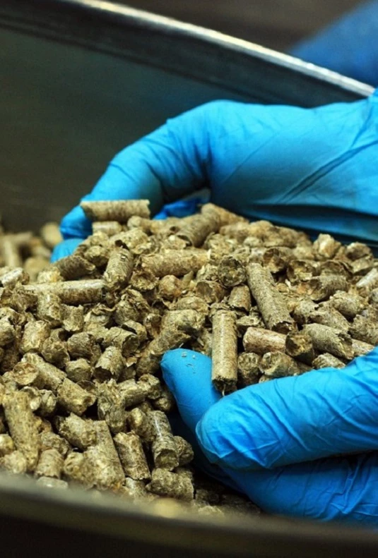 Solid biofuel