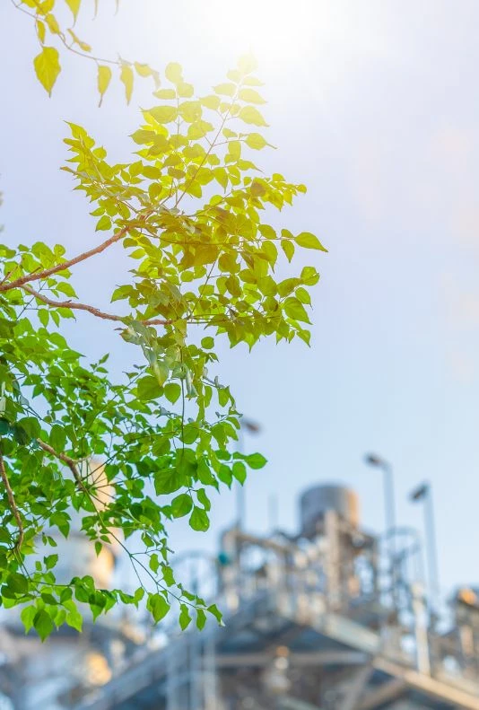 Environmental impact assessments
