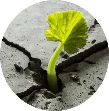 WELL Principle: Resilient