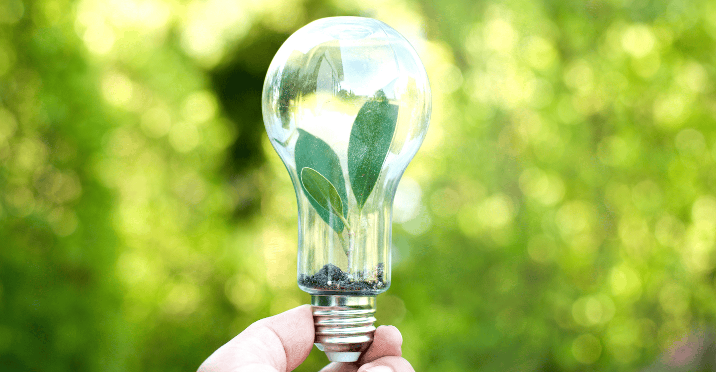 Energy and Carbon Reduction