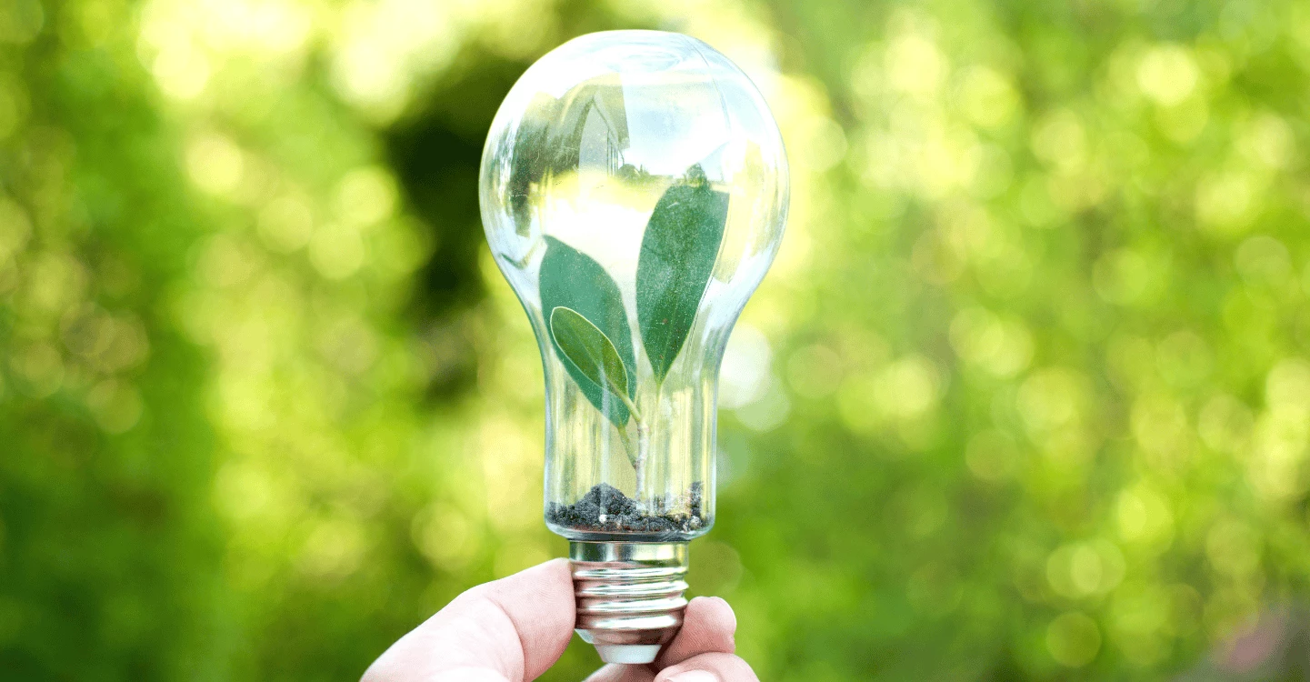 Energy and Carbon Reduction