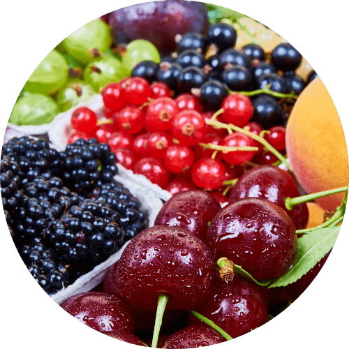 Food & Beverage