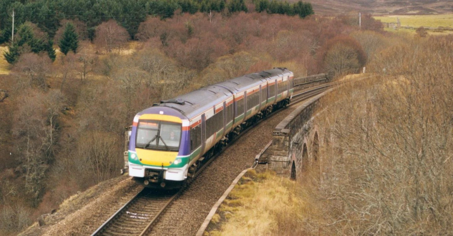 How ecology surveys can keep your railway project on track