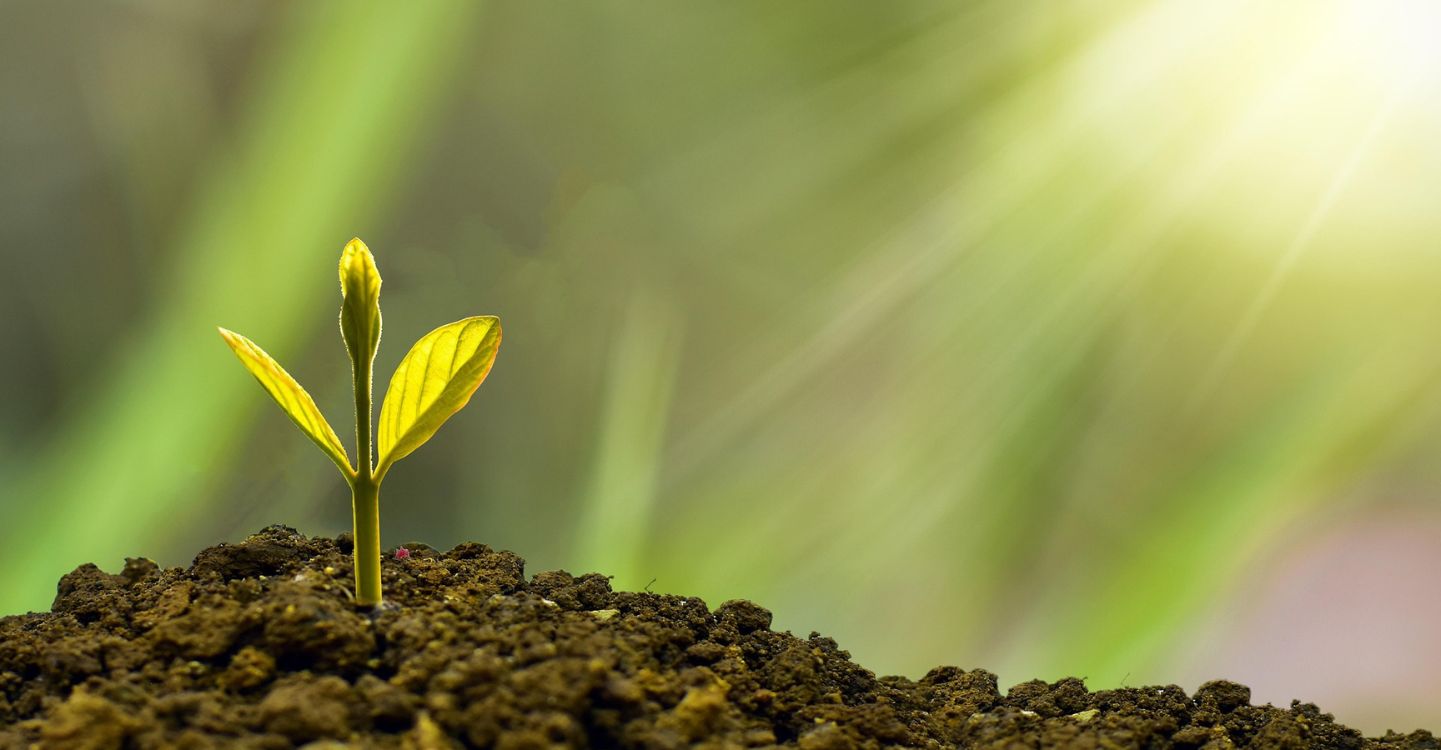 Sustainability Month 2024
