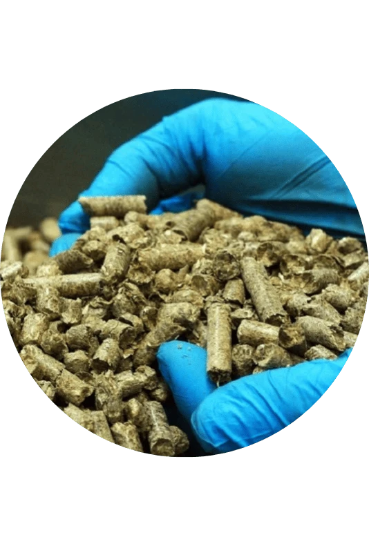 Energy and fuel supply