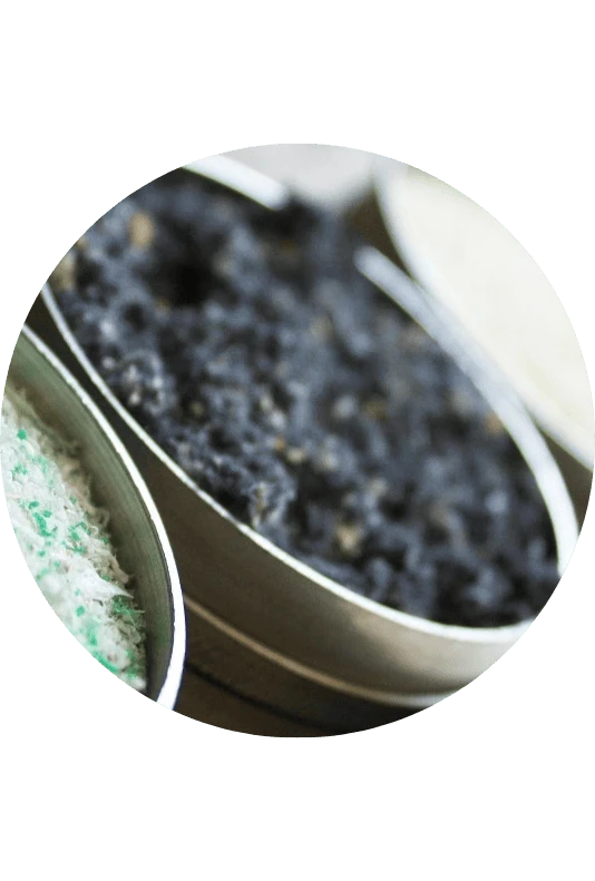 Transmission and distribution networks