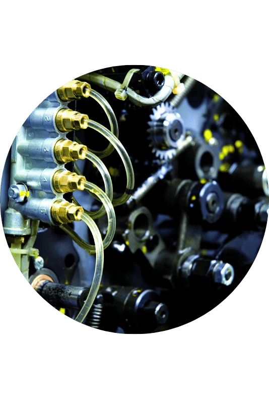 Transmission and distribution networks