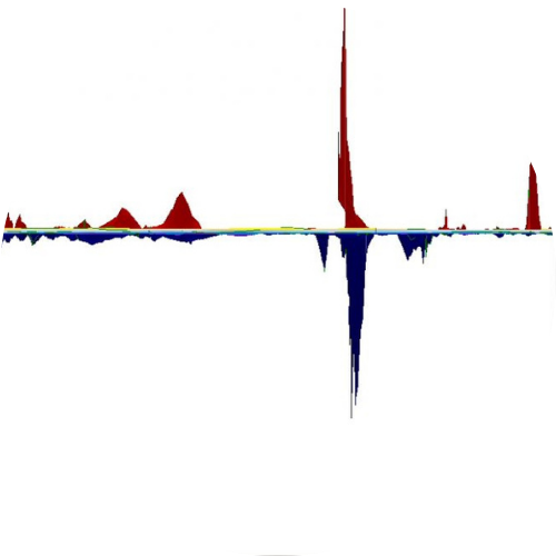 Magnometer Survey SOCOTEC