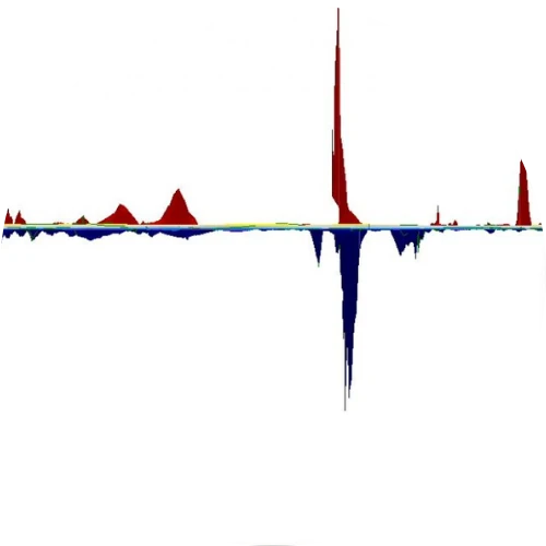 Magnometer Survey SOCOTEC