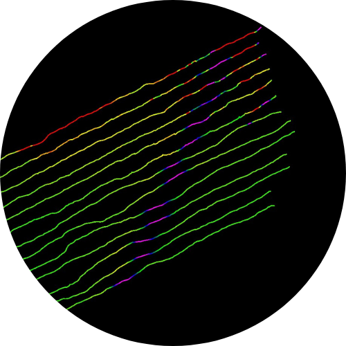 Magnetometer Survey SOCOTEC