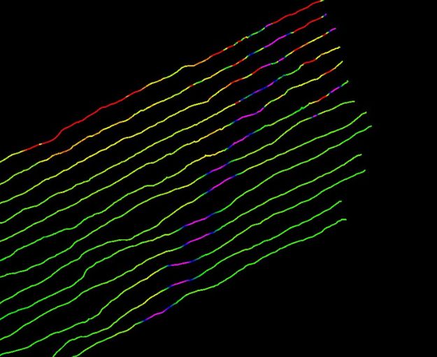 Magnometer Survey SOCOTEC