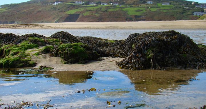 Seabed Classification Report SOCOTEC