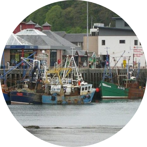 tidal analysis SOCOTEC