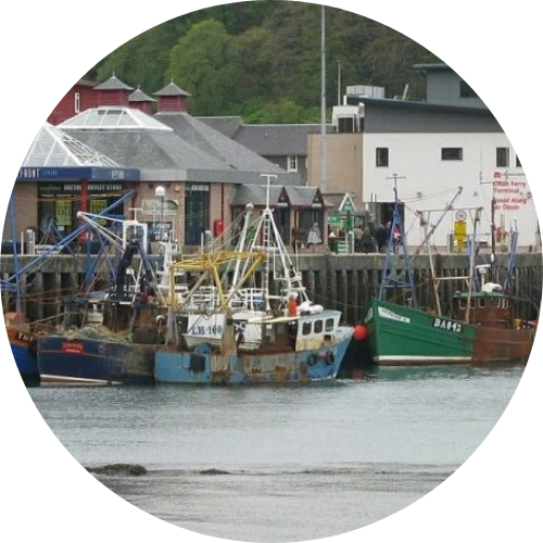 tidal analysis SOCOTEC