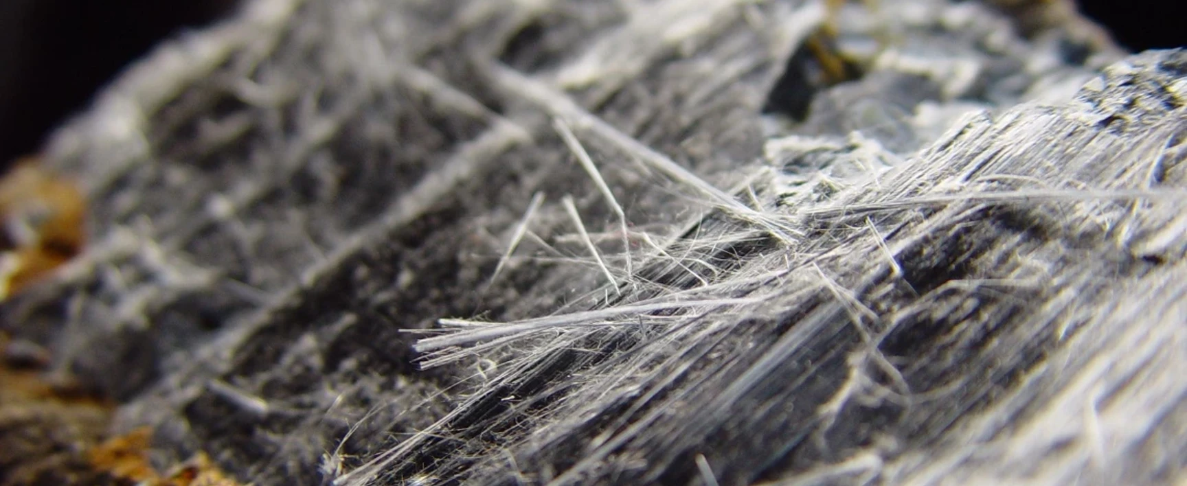 asbestos management plan
