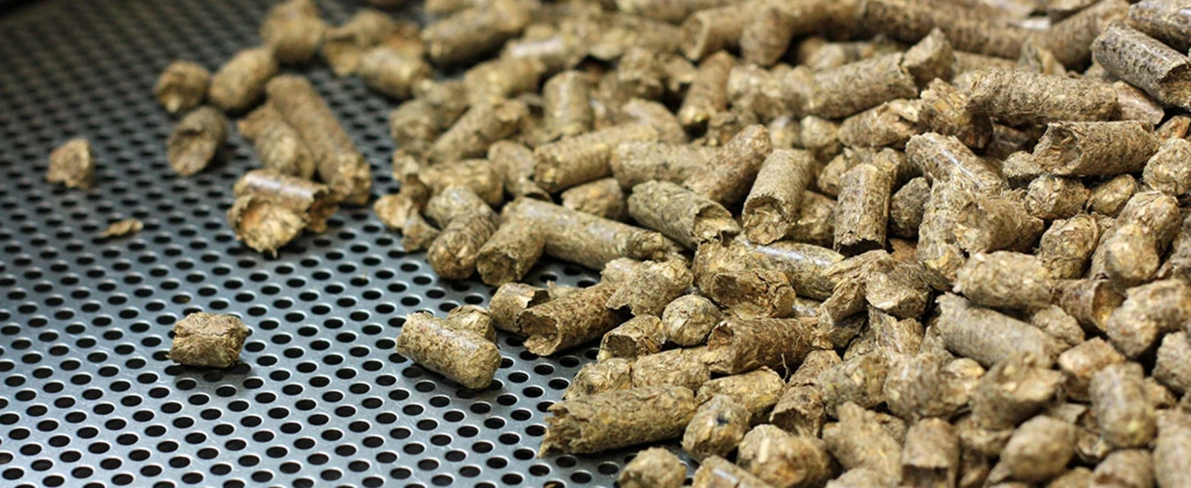 future for biofuels