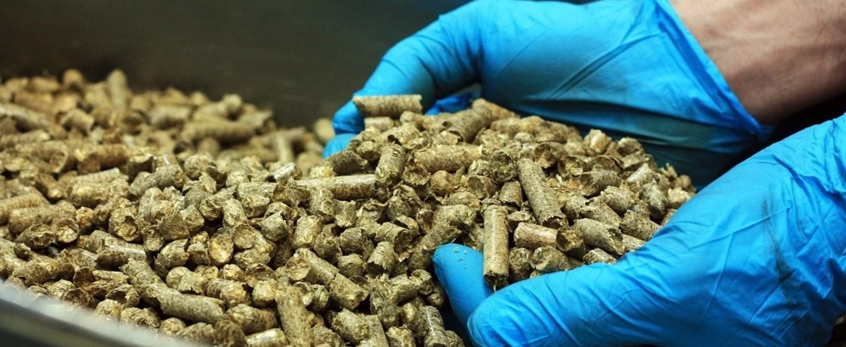 Solid biofuels