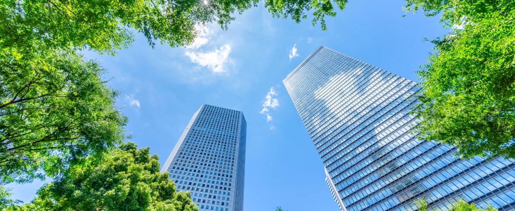 Building trust in a sustainable world