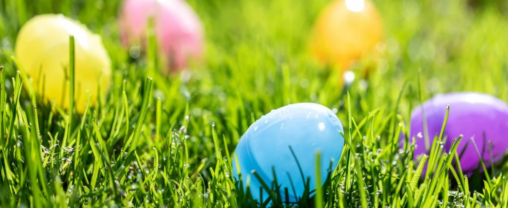 Easter Eggs Microplastics