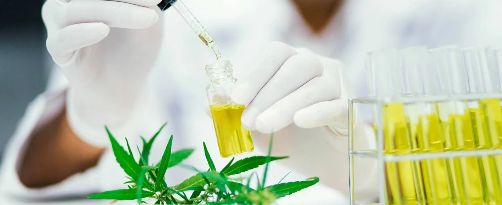 Medicinal Cannabis Testing - Header