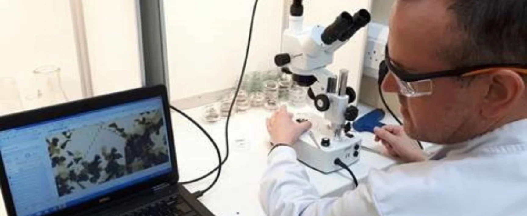 Microplastics Header