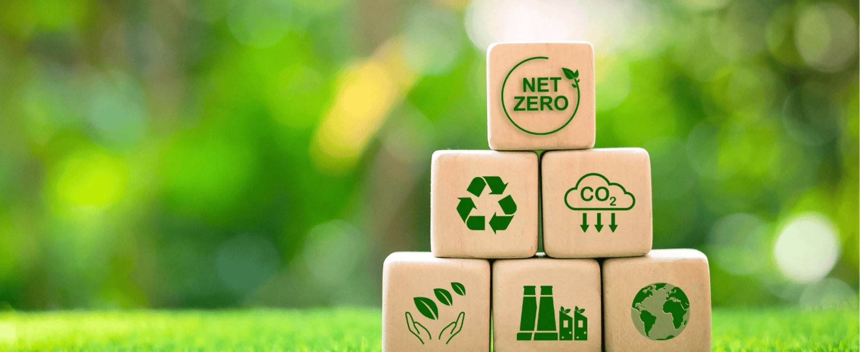Carbon Policy Development
