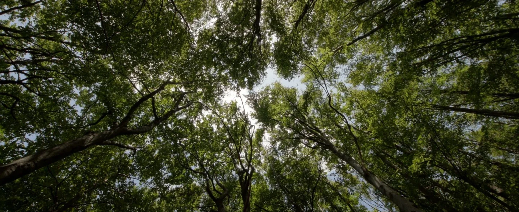 World Environment day SOCOTEC