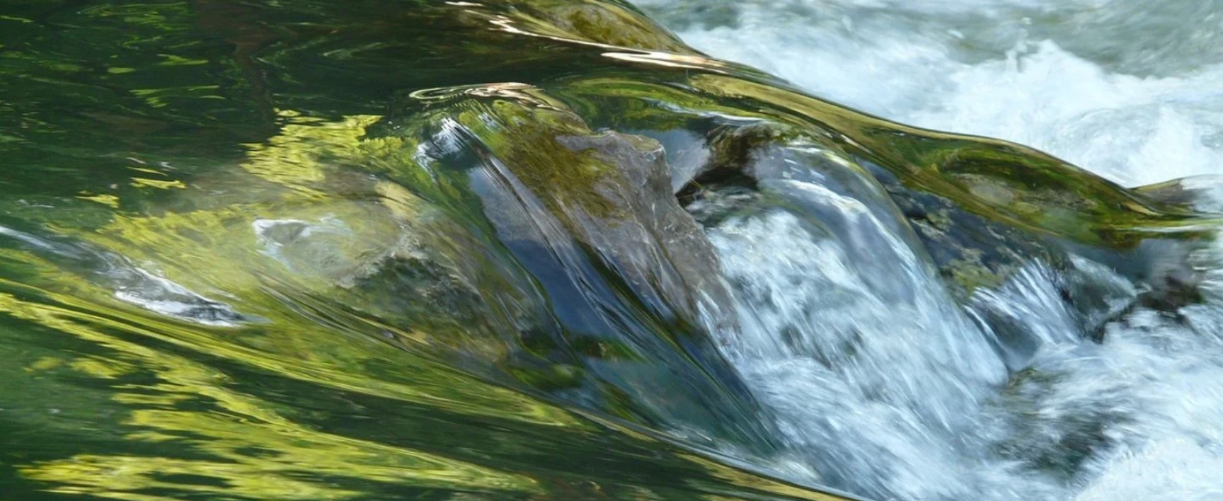 SOCOTEC Environmental DNA Analysis Suite