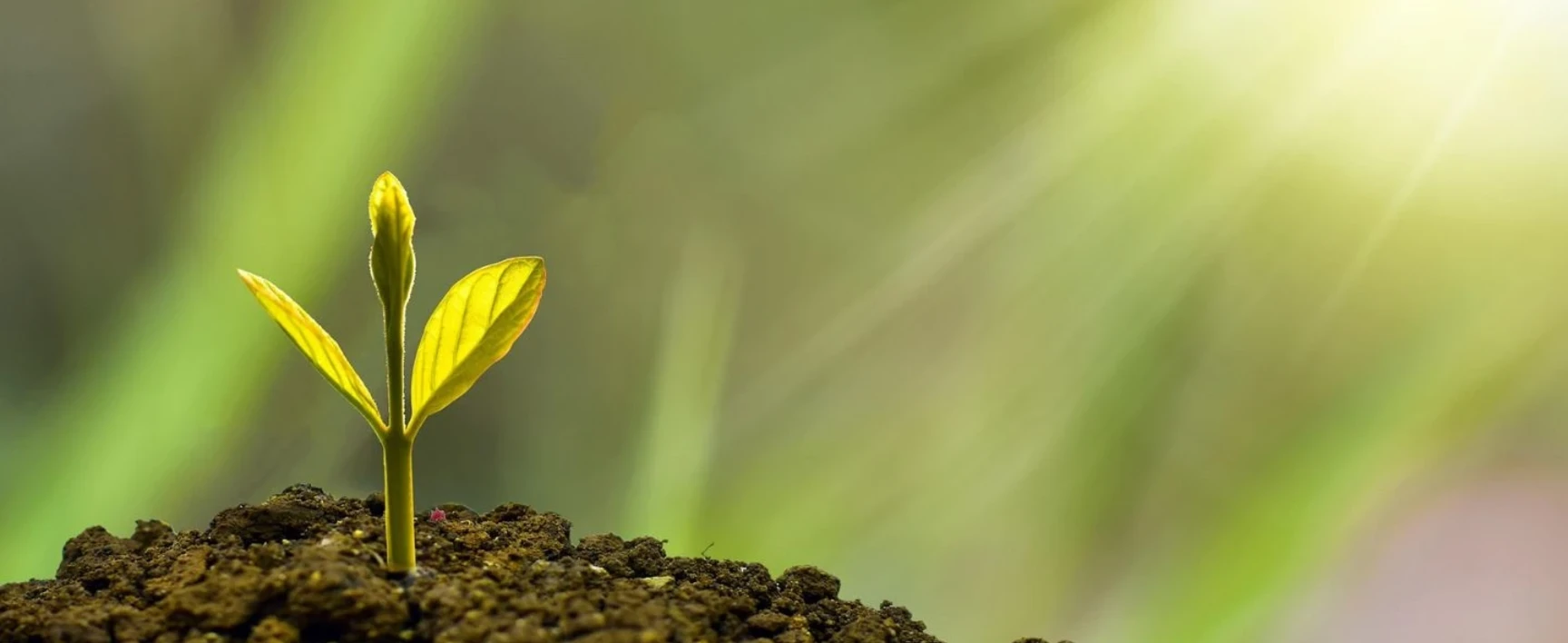 Sustainability Month SOCOTEC