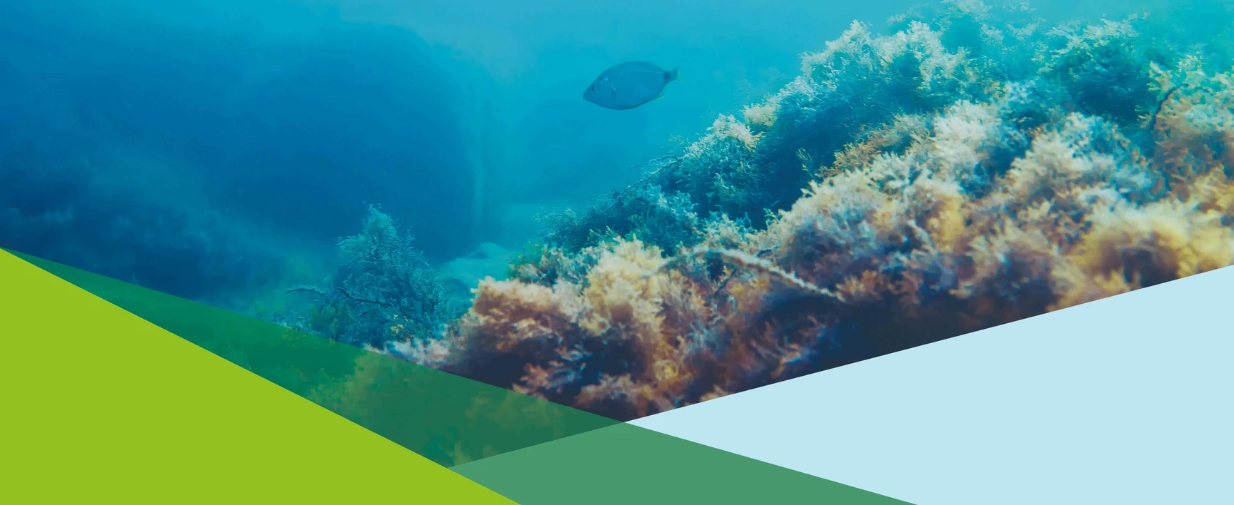 Environmental DNA analysis SOCOTEC