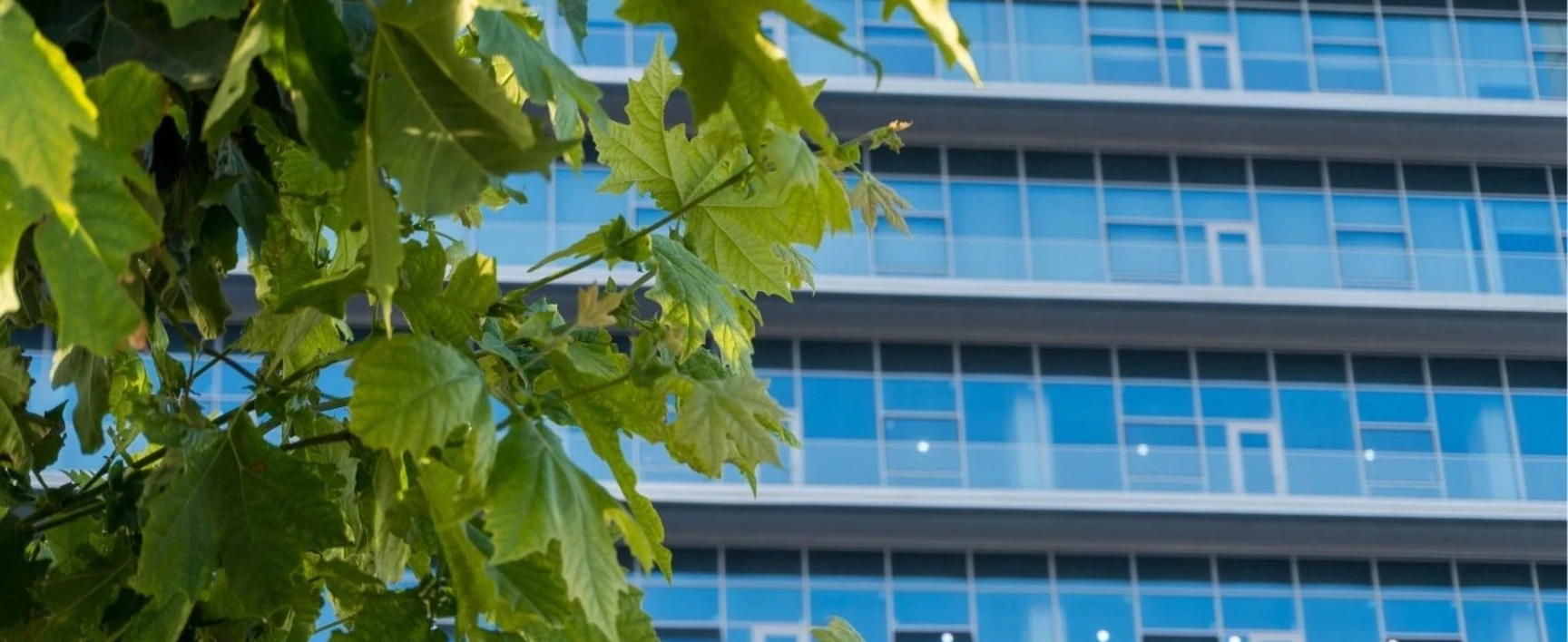 breeam