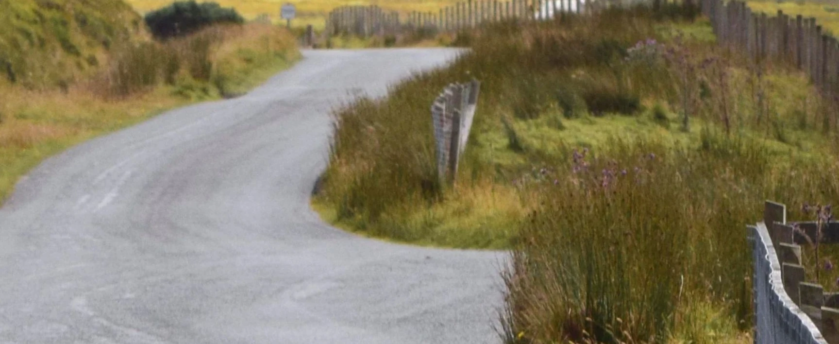 Coastal Road