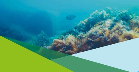environmental DNA analysis