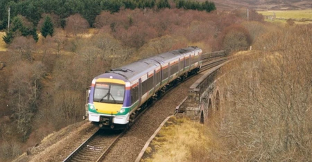 How ecology surveys can keep your railway project on track