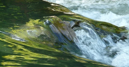 SOCOTEC Environmental DNA Analysis Suite