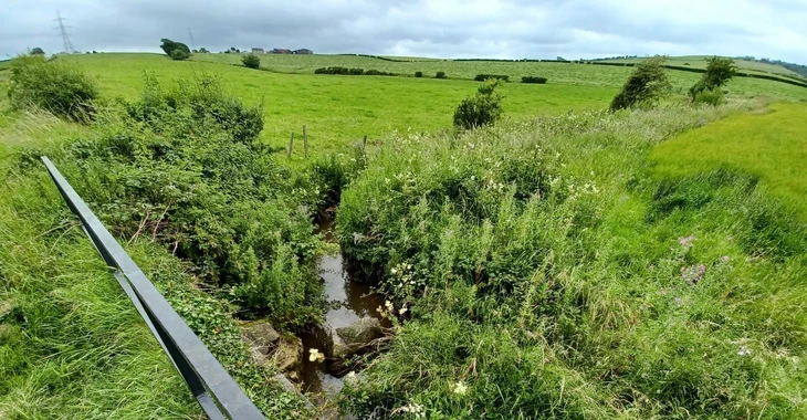 Surface Water Case Study